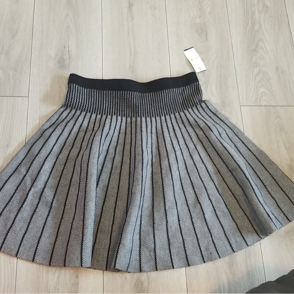 Premise skirt